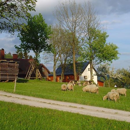 Na Zvonici Guest House Paseky nad Jizerou Exterior foto