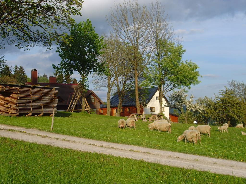 Na Zvonici Guest House Paseky nad Jizerou Exterior foto